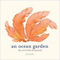 An Ocean Garden : The Secret life of Seaweed