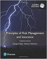 Principles of Risk Management and Insurance/Rejda, George E.