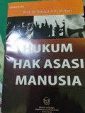 Hukum hak asasi manusia/Rahayu